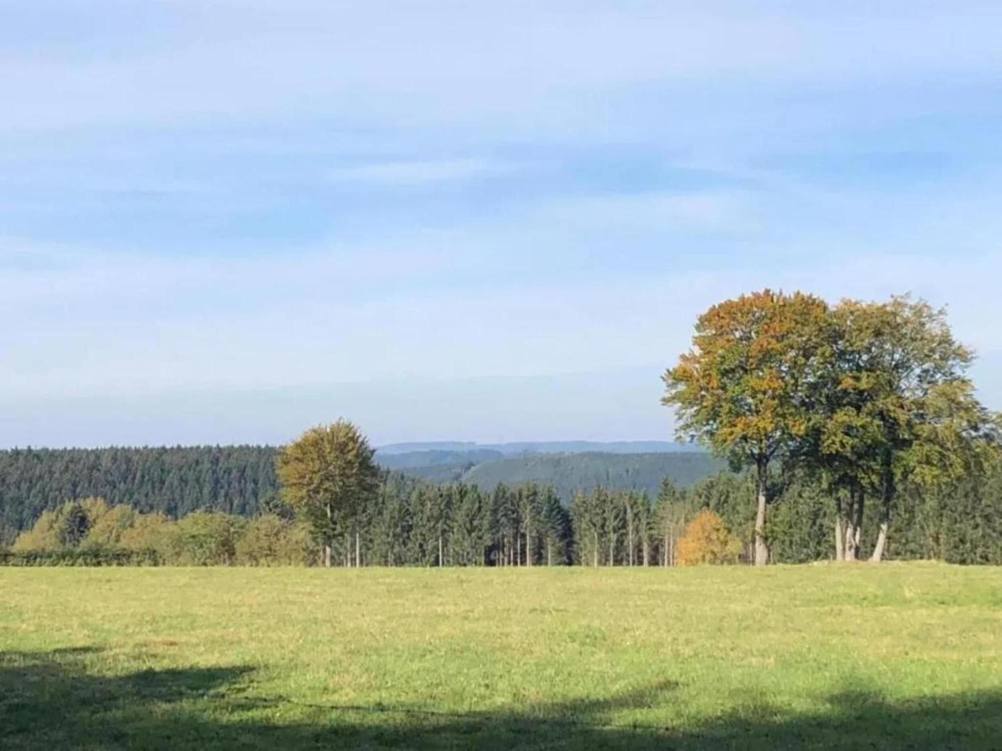 Holiday Home Ardennes Blue In Theux Near Spa La Reid المظهر الخارجي الصورة
